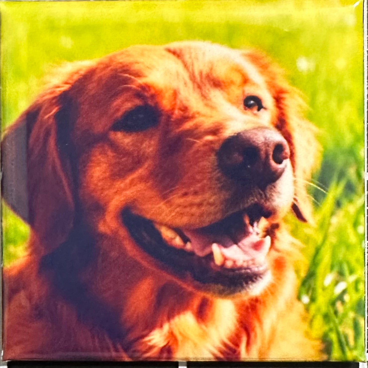 1 piece photo magnet